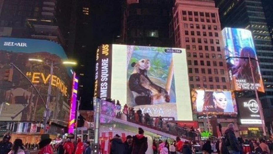 New York led display New York led display